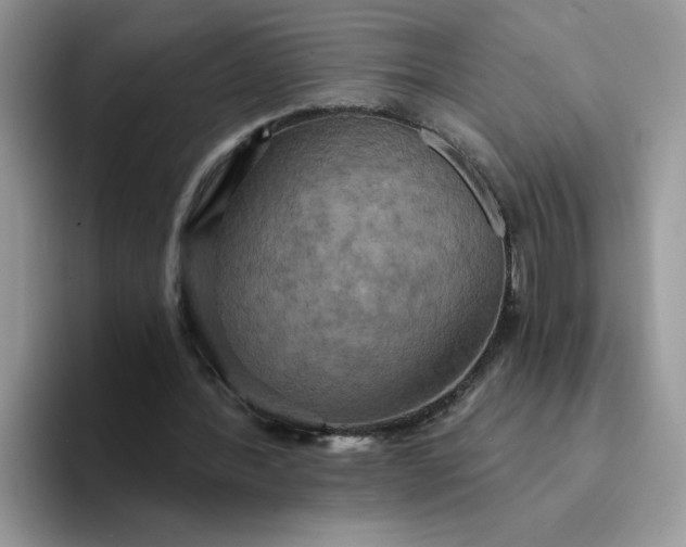X0000094210388200711091242