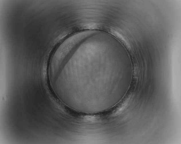 X0000094210394200711091241