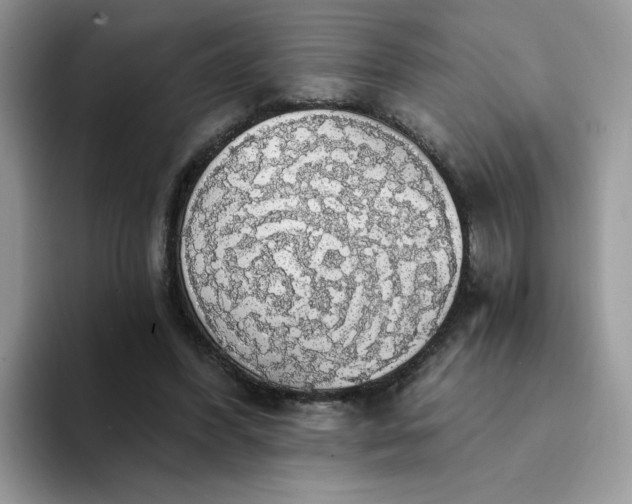 X0000094210396200711091241