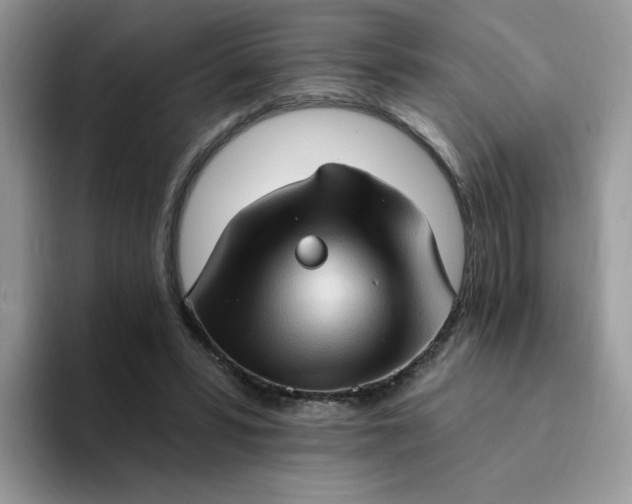 X0000094210399200711091241