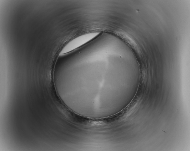 X0000094210401200711091241