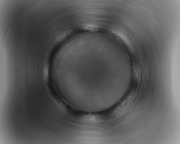 X0000094210404200711091241