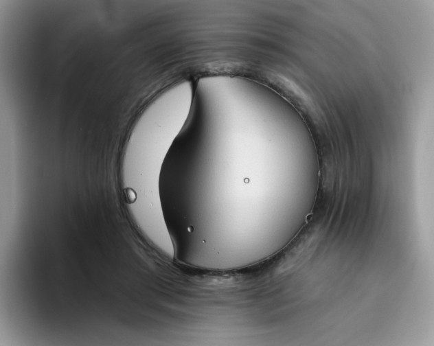 X0000094210405200711091241