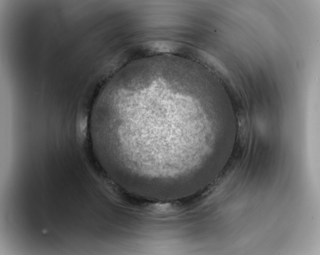 X0000094210406200711091241