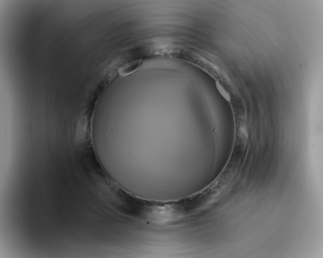 X0000094210411200711091241