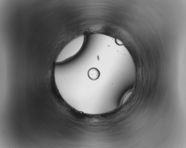 X0000094210412200711091241