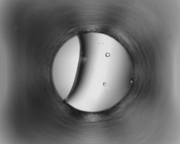 X0000094210413200711091241