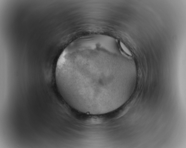 X0000094210416200711091241