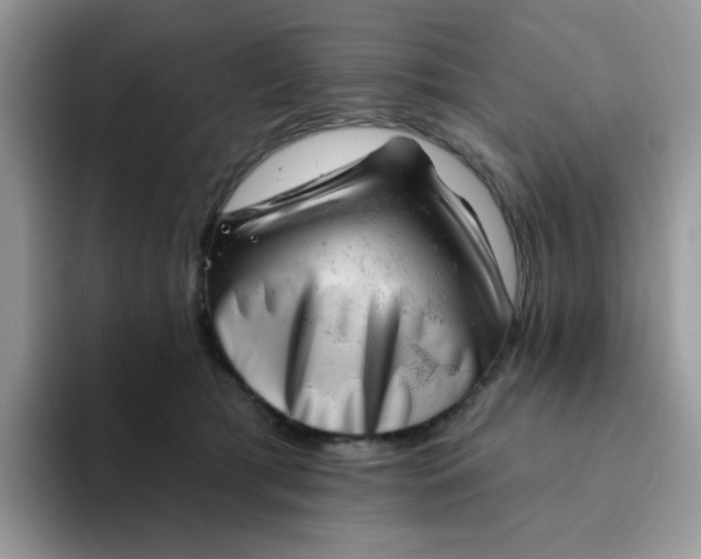 X0000094210417200711091241