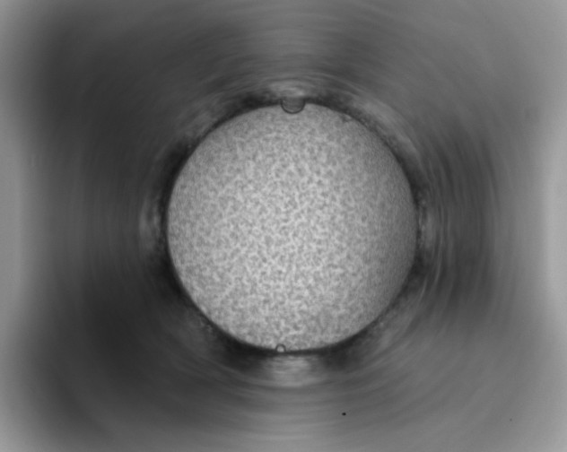 X0000094210418200711091241