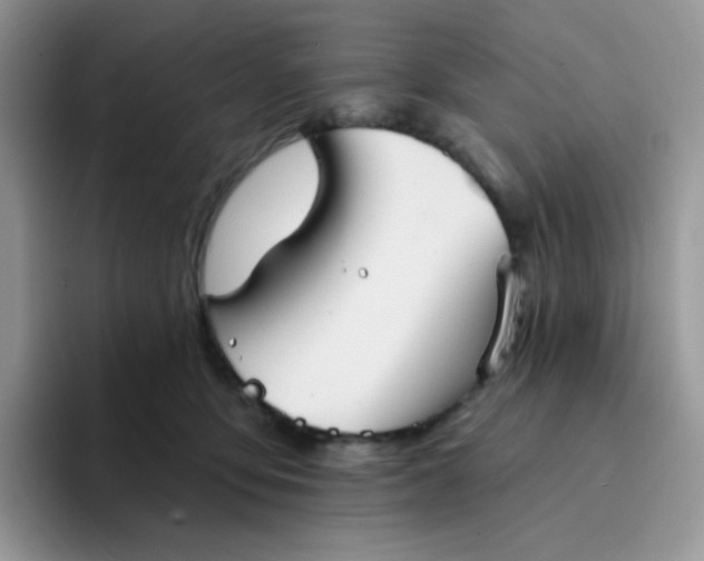 X0000094210419200711091241