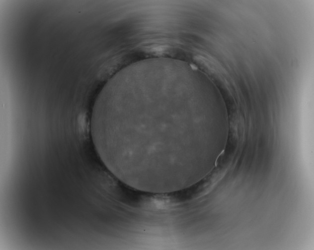 X0000094210420200711091241