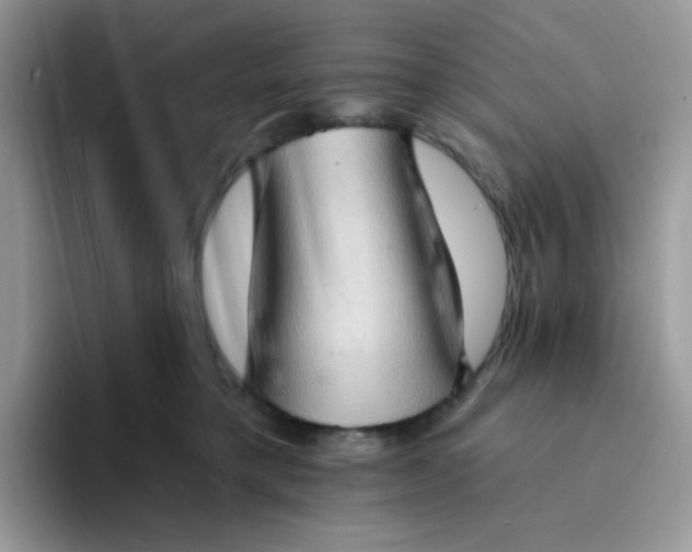 X0000094210421200711091241
