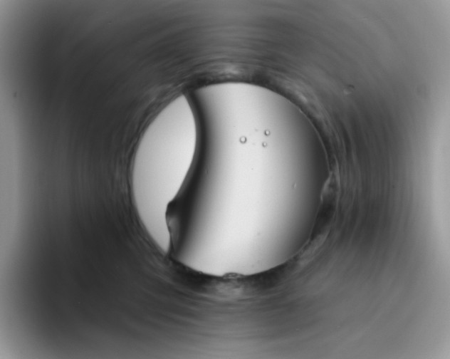 X0000094210423200711091241