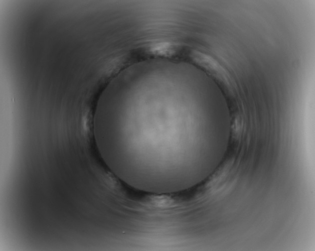 X0000094210424200711091241