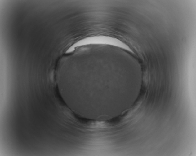 X0000094210428200711091241