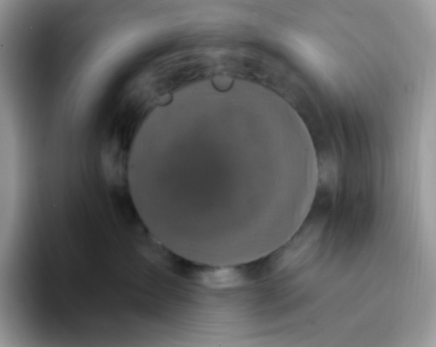 X0000094210431200711091241