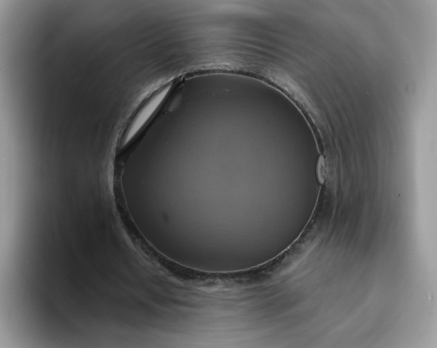 X0000094210434200711091240