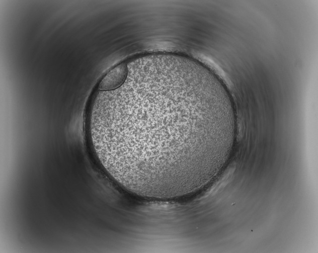 X0000094210439200711091241