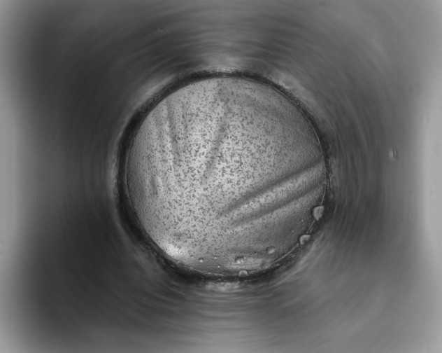 X0000094210440200711091241