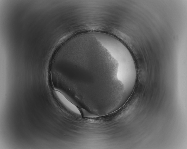 X0000094210442200711091241
