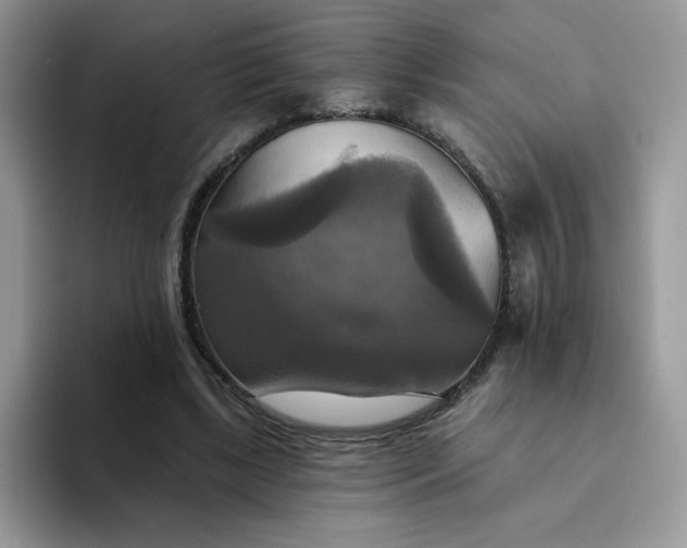 X0000094210443200711091241
