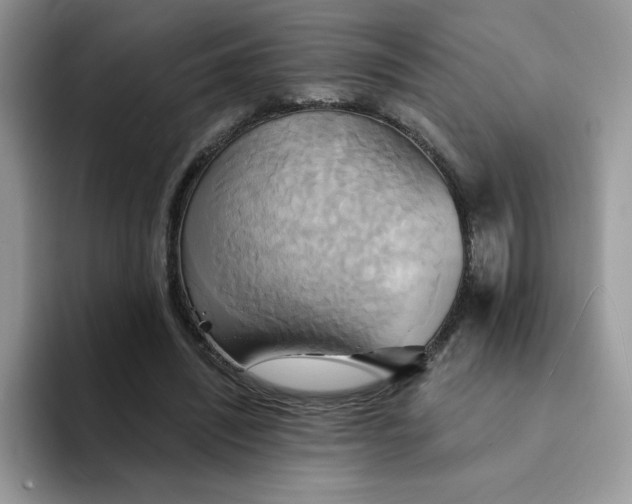 X0000094210444200711091241