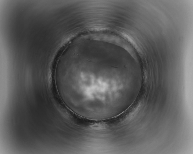 X0000094210447200711091241