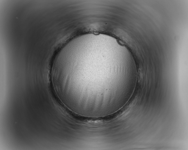 X0000094210450200711091241