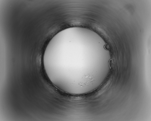 X0000094210454200711091241