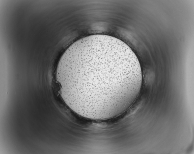 X0000094210455200711091241