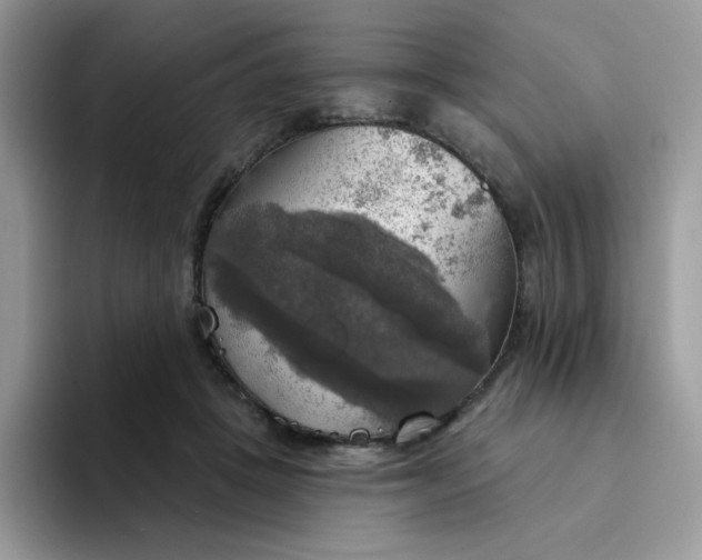 X0000094210457200711091241