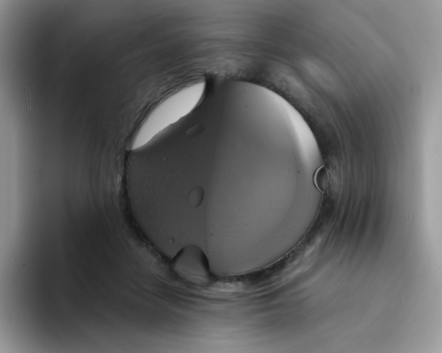 X0000094210458200711091241