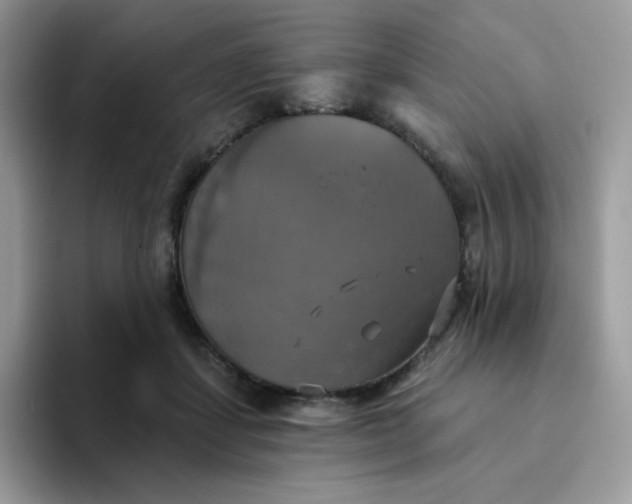 X0000094210459200711091241