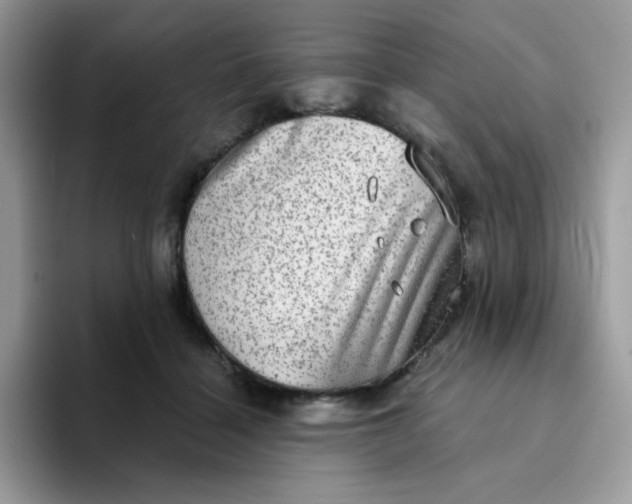 X0000094210460200711091241