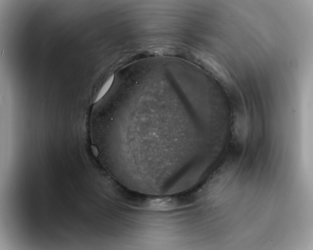 X0000094210461200711091241
