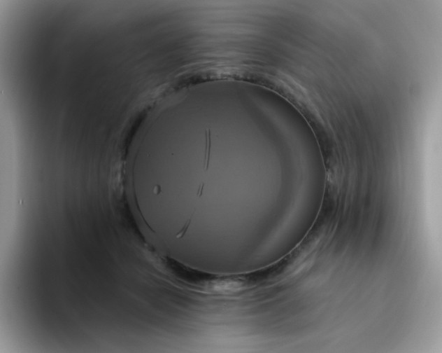 X0000094210462200711091241