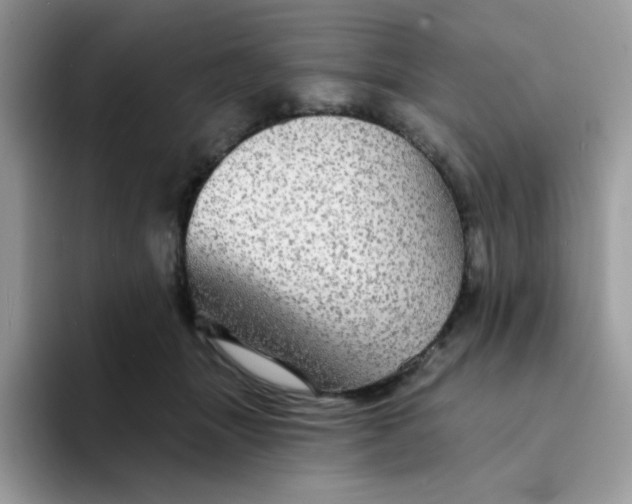 X0000094210463200711091241