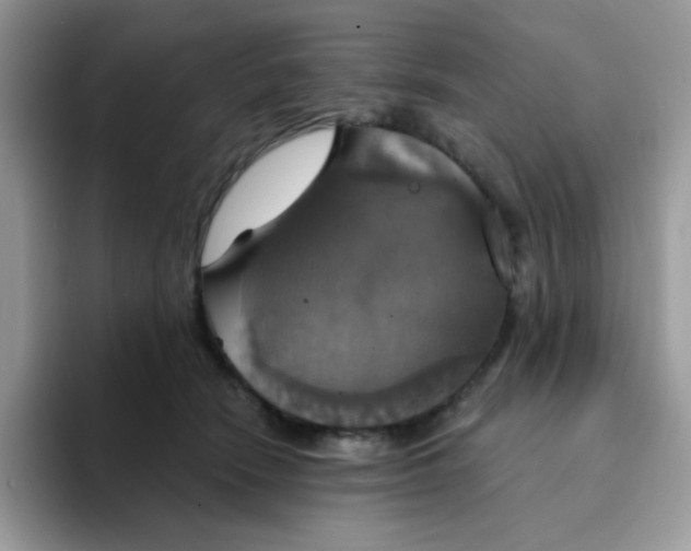 X0000094210466200711091241