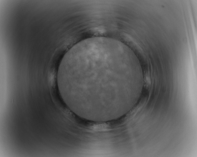X0000094210468200711091241