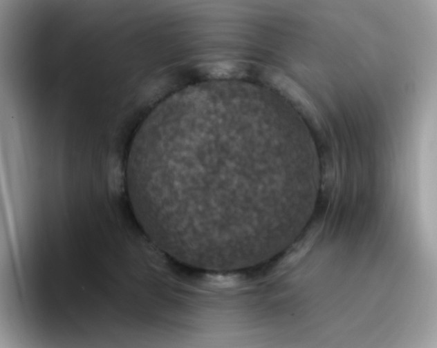 X0000094210469200711091241