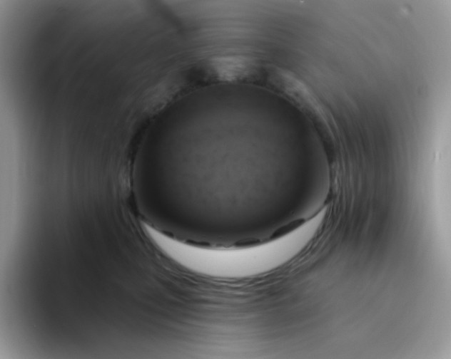 X0000094210471200711091241