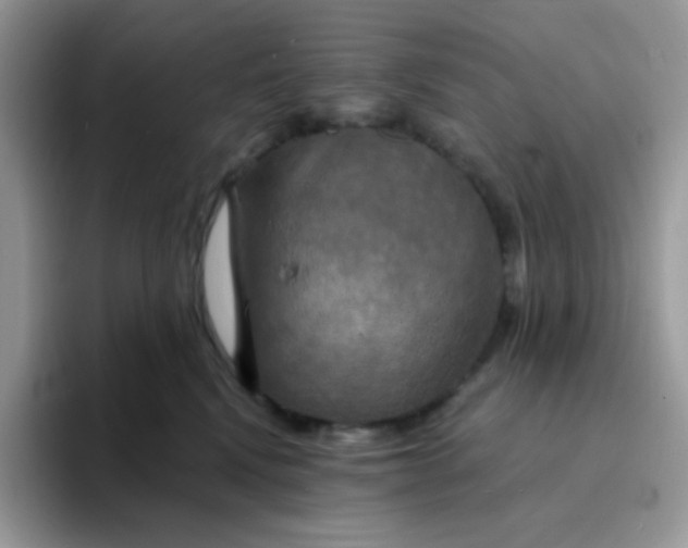 X0000094210472200711091241