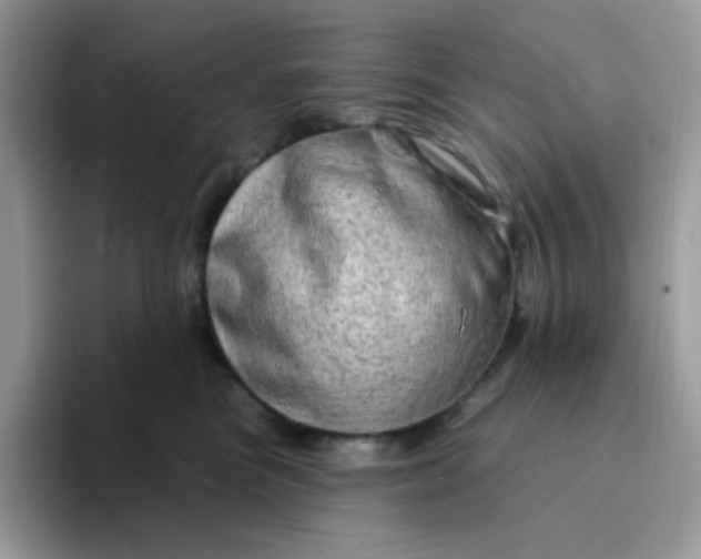 X0000094210473200711091241