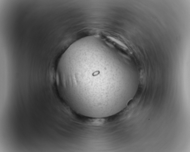 X0000094210474200711091241