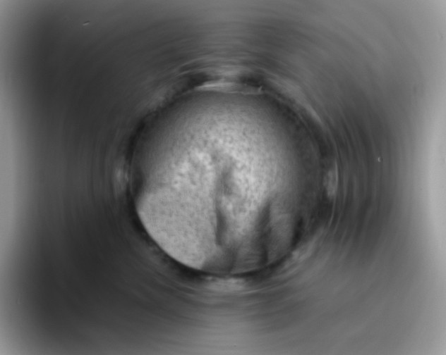 X0000094210476200711091241