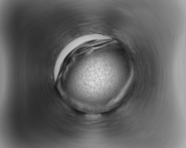 X0000094210480200711091241