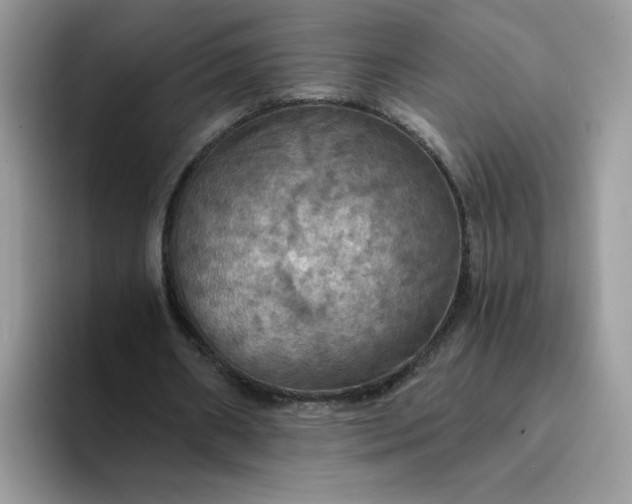 X0000094210482200711091240