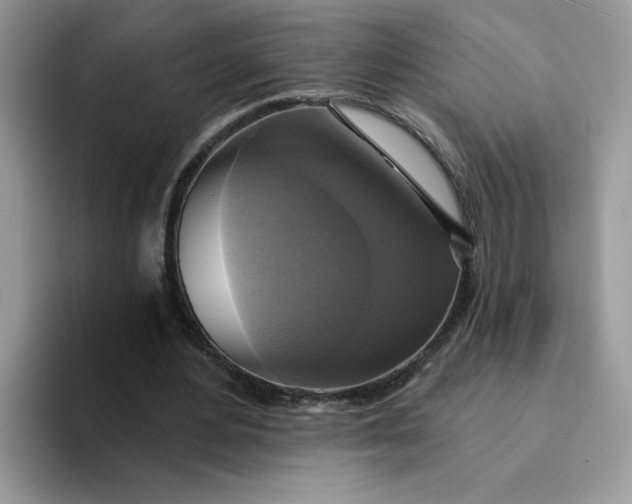 X0000094210484200711091240
