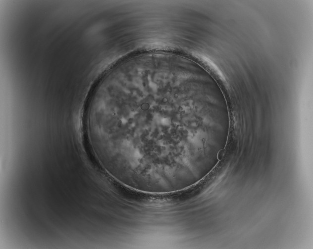X0000094210487200711091240